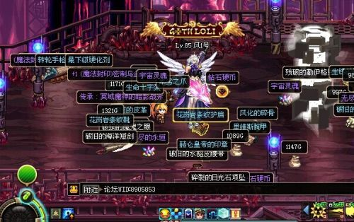 dnf90版本传承,深入执行数据应用-SE版_v10.771